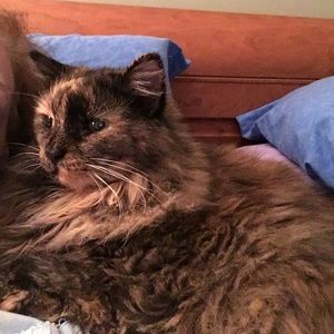 Meet your Posher, Bevbeverley